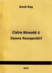 Cizîra binxetê û jîyana rewÅŸenbîrî vignette